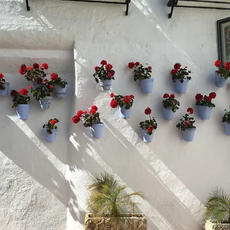 Mediterranean Dream I - La Carihuela Apartamento Torremolinos